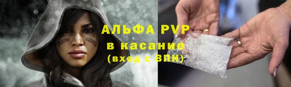 гидра Балахна